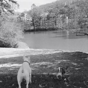 Meet your Posher, Sibyl